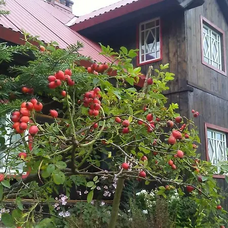 Maison d'hôtes Wojtaszowka Pewel Wielka